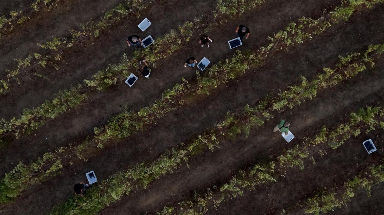 L'And Vineyards - Relais & Chateaux Монтемор-о-Ново Екстериор снимка